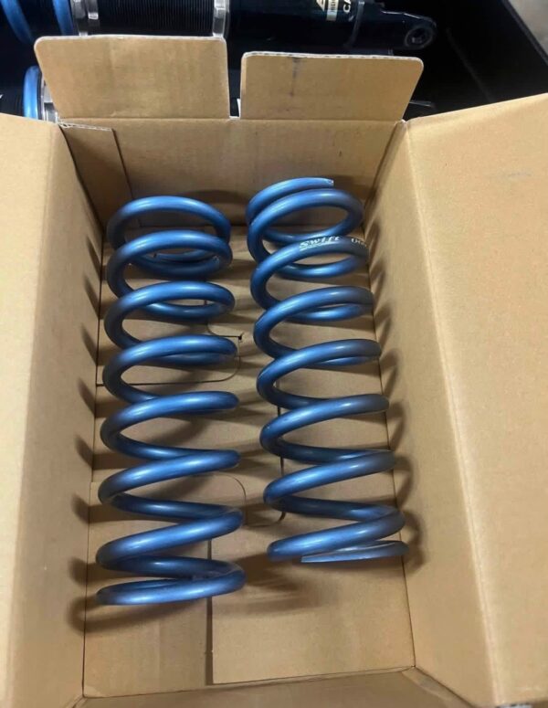 IMG_7253 BC Racing BR Series Coilovers