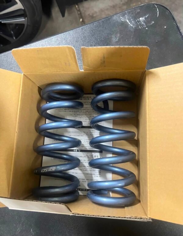 IMG_7254 BC Racing BR Series Coilovers