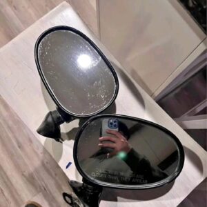 IMG_8444 Oval vehicle side mirrors