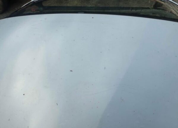 IMG_4473 Mazda MX-5 Miata NA OEM Hardtop – White with Heated Glass Rear Window
