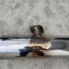 Dual-Tip Performance Cat-Back Exhaust Muffler Assembly (Used)