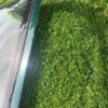 OEM Mazda Miata NA/NB Removable Fiberglass Hardtop with Heated Defroster Glass (British Racing Green / Emerald Mica)